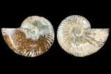 Bargain, Agate Replaced Ammonite Fossil - Madagascar #145840-1